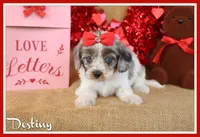 processed/9c18472a-38f5-456f-a226-38b1260b9b2e/listing/44fb263c-c731-4aaf-8796-aa9872084422/cf4a09fd-4086-4ed8-b99d-a96c2adb02a9