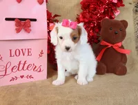 processed/9c18472a-38f5-456f-a226-38b1260b9b2e/listing/76d352bb-c49e-4ed0-9729-e500eeb6265b/0d6c9fe9-7abe-43f2-86bd-d7674087105b