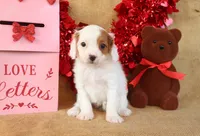 processed/9c18472a-38f5-456f-a226-38b1260b9b2e/listing/76d352bb-c49e-4ed0-9729-e500eeb6265b/2d10dd8a-fbcb-43f3-91fd-9b4fdc60f4cd