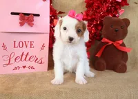 processed/9c18472a-38f5-456f-a226-38b1260b9b2e/listing/76d352bb-c49e-4ed0-9729-e500eeb6265b/5536f351-2927-414d-ae20-206cd4ca1fdb