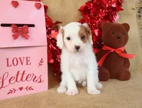 processed/9c18472a-38f5-456f-a226-38b1260b9b2e/listing/76d352bb-c49e-4ed0-9729-e500eeb6265b/8770bc70-5bda-4c3b-bbfa-765d0b5080fa