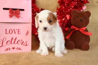 processed/9c18472a-38f5-456f-a226-38b1260b9b2e/listing/76d352bb-c49e-4ed0-9729-e500eeb6265b/a0cc9358-d2f0-4684-9512-aac9afaad9b0