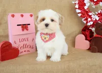 processed/9c18472a-38f5-456f-a226-38b1260b9b2e/listing/dca84f41-fc9d-4f73-91f0-397c648f8c27/23242148-bdb5-4803-aa4b-d3577cf1cc87