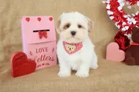 processed/9c18472a-38f5-456f-a226-38b1260b9b2e/listing/dca84f41-fc9d-4f73-91f0-397c648f8c27/270ae19f-e388-4519-a11d-930fefdcf8dc