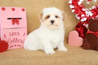 processed/9c18472a-38f5-456f-a226-38b1260b9b2e/listing/dca84f41-fc9d-4f73-91f0-397c648f8c27/4ace1cef-0a84-4d93-9749-26fe5481991a