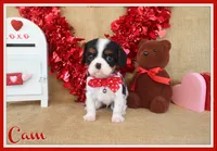 processed/9c18472a-38f5-456f-a226-38b1260b9b2e/listing/f40cc4d6-3766-4aa3-8003-57b673913915/32d1a5ab-c79f-42e6-856f-5b34a77ece89