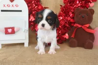 processed/9c18472a-38f5-456f-a226-38b1260b9b2e/listing/f40cc4d6-3766-4aa3-8003-57b673913915/3dfea7bc-7a8e-452f-a4e7-d16540b64be3