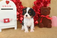 processed/9c18472a-38f5-456f-a226-38b1260b9b2e/listing/f40cc4d6-3766-4aa3-8003-57b673913915/6cc50f81-689b-4c25-b70d-57cf02f45b64