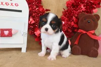 processed/9c18472a-38f5-456f-a226-38b1260b9b2e/listing/f40cc4d6-3766-4aa3-8003-57b673913915/e6f1c020-c6bd-45d1-8855-897cac39bda9