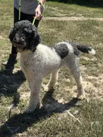 processed/9c1b01b2-16c1-4abd-8d95-a71e2ad7bd57/listing/623b2ade-2706-4c53-bb45-cc892b332647/07d733ee-b125-4a7b-be56-010aa43cf7bd