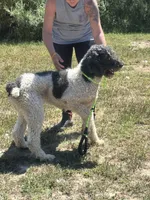 processed/9c1b01b2-16c1-4abd-8d95-a71e2ad7bd57/listing/623b2ade-2706-4c53-bb45-cc892b332647/2f17a991-7392-4f8f-a285-fc021bae26ce