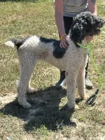 processed/9c1b01b2-16c1-4abd-8d95-a71e2ad7bd57/listing/623b2ade-2706-4c53-bb45-cc892b332647/69202b08-44fd-4c39-97cb-c439647d31e6