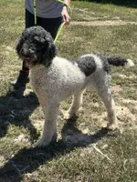 processed/9c1b01b2-16c1-4abd-8d95-a71e2ad7bd57/listing/623b2ade-2706-4c53-bb45-cc892b332647/a73b4757-0aea-459c-a125-8d287dcfa7c1