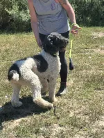 processed/9c1b01b2-16c1-4abd-8d95-a71e2ad7bd57/listing/623b2ade-2706-4c53-bb45-cc892b332647/ba115396-a1e2-423e-8426-4d091f63cafb