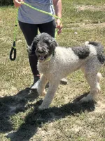 processed/9c1b01b2-16c1-4abd-8d95-a71e2ad7bd57/listing/623b2ade-2706-4c53-bb45-cc892b332647/d51a0b0d-9807-4122-80c9-dfbc1f5aa5ea