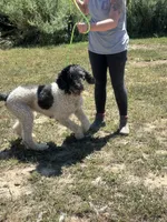 processed/9c1b01b2-16c1-4abd-8d95-a71e2ad7bd57/listing/623b2ade-2706-4c53-bb45-cc892b332647/fa414fbe-f36f-46c6-b09f-46d9b68af1f1