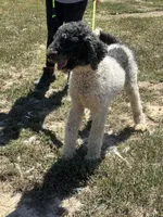 processed/9c1b01b2-16c1-4abd-8d95-a71e2ad7bd57/listing/623b2ade-2706-4c53-bb45-cc892b332647/fdfd8a73-1670-4fa0-942a-011d24452bfa