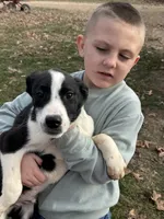 processed/9c1b01b2-16c1-4abd-8d95-a71e2ad7bd57/listing/b9dd9d52-a229-4f19-a4ff-d874fb4938d0/27c82712-f97d-4770-9e2c-8f9eb8f35f5d