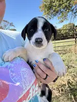 processed/9c1b01b2-16c1-4abd-8d95-a71e2ad7bd57/listing/b9dd9d52-a229-4f19-a4ff-d874fb4938d0/335e5d16-edc1-42a4-a793-9e2c6fa135ed