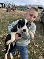 processed/9c1b01b2-16c1-4abd-8d95-a71e2ad7bd57/listing/b9dd9d52-a229-4f19-a4ff-d874fb4938d0/b12af588-ed18-428d-89c3-864212c93603