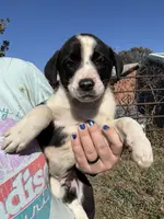 processed/9c1b01b2-16c1-4abd-8d95-a71e2ad7bd57/listing/b9dd9d52-a229-4f19-a4ff-d874fb4938d0/ccd12d58-0f7b-40cc-befa-0df4fb8e81e3