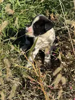 processed/9c1b01b2-16c1-4abd-8d95-a71e2ad7bd57/listing/b9dd9d52-a229-4f19-a4ff-d874fb4938d0/edbb8f80-3c18-4551-a72f-56698b08f69f