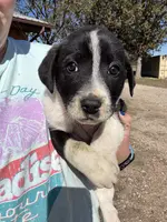 processed/9c1b01b2-16c1-4abd-8d95-a71e2ad7bd57/listing/d291ee58-0521-4410-8624-072049f7906d/58e16202-9935-42e1-9092-e47443a0b245