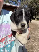 processed/9c1b01b2-16c1-4abd-8d95-a71e2ad7bd57/listing/d291ee58-0521-4410-8624-072049f7906d/d1403b95-35b0-4d93-a9fe-a579c81c43ef