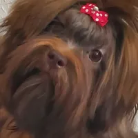 processed/9c1e9092-9436-4978-8adf-d2fe056367ff/facility/8b9d4345-9c05-46dd-b33d-fc5b4213dc6d