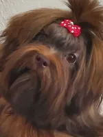 processed/9c1e9092-9436-4978-8adf-d2fe056367ff/facility/8b9d4345-9c05-46dd-b33d-fc5b4213dc6d