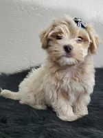 processed/9c1e9092-9436-4978-8adf-d2fe056367ff/listing/258edaed-95f6-4d23-a8c5-30c7e9b7ed42/0f51af66-f895-4830-8746-ead84da849c0