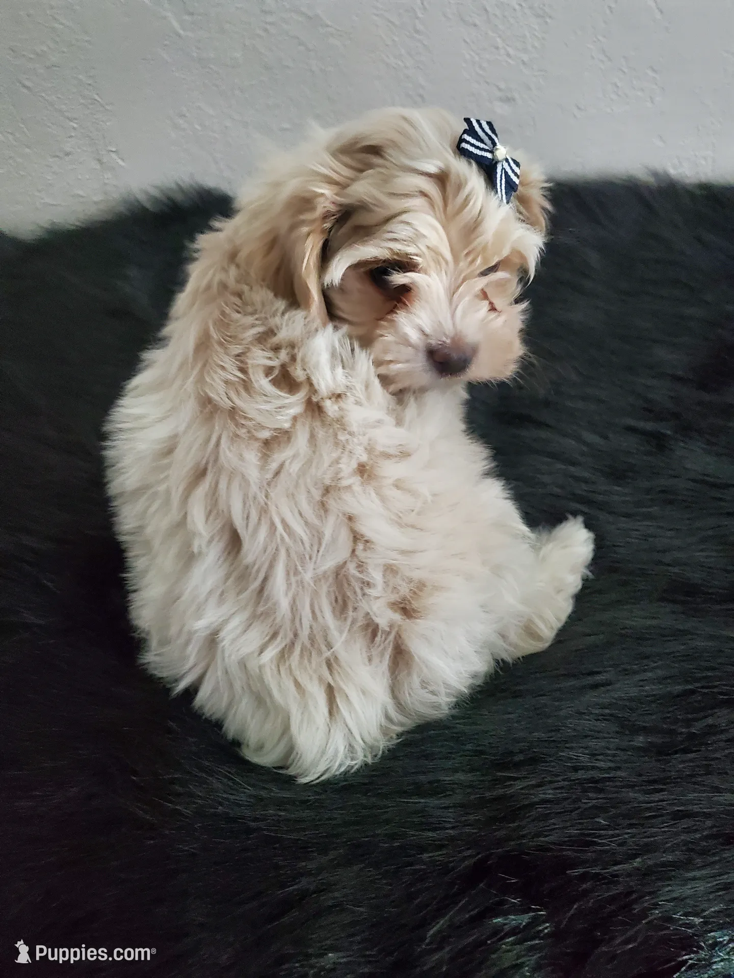 processed/9c1e9092-9436-4978-8adf-d2fe056367ff/listing/258edaed-95f6-4d23-a8c5-30c7e9b7ed42/3fc04309-de6f-4846-a736-a1ad9b87d3fc