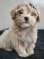 processed/9c1e9092-9436-4978-8adf-d2fe056367ff/listing/258edaed-95f6-4d23-a8c5-30c7e9b7ed42/836f919f-6908-4c06-8d8f-84df36a05b48