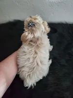 processed/9c1e9092-9436-4978-8adf-d2fe056367ff/listing/258edaed-95f6-4d23-a8c5-30c7e9b7ed42/d9567d00-939f-4b50-8c81-93dc1157f5ec