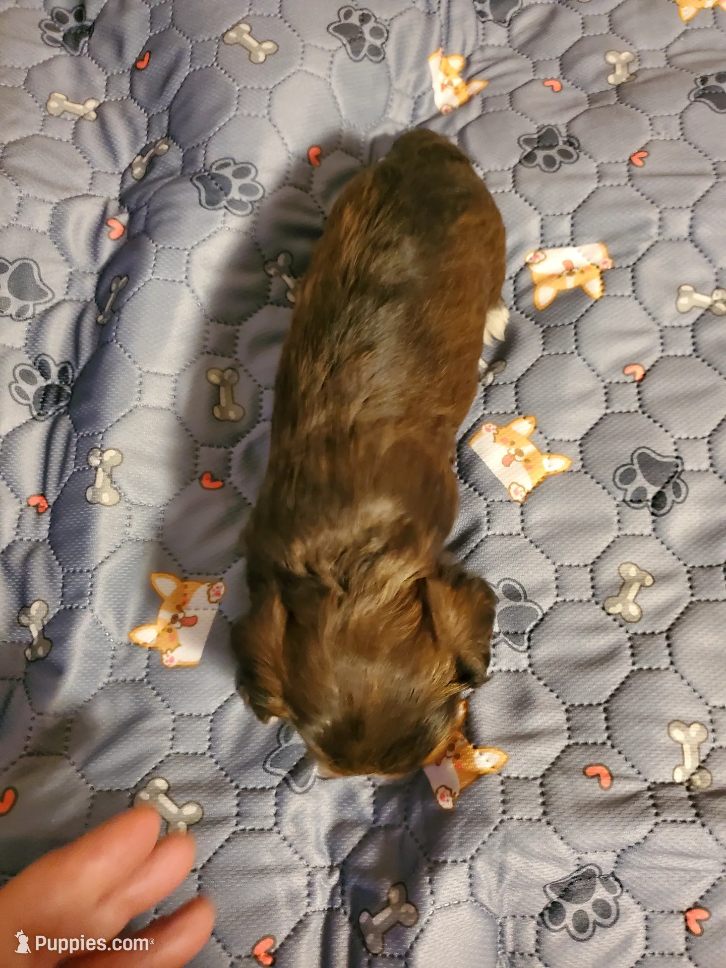 processed/9c1e9092-9436-4978-8adf-d2fe056367ff/listing/651b9d16-168e-4fbe-af69-81966aa8b7f3/3ce63cff-3143-460a-b386-dd1720b71d81