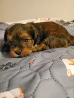 processed/9c1e9092-9436-4978-8adf-d2fe056367ff/listing/651b9d16-168e-4fbe-af69-81966aa8b7f3/46d0dd7c-e6ff-427a-a6ab-fd1b7a802e30