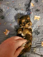 processed/9c1e9092-9436-4978-8adf-d2fe056367ff/listing/651b9d16-168e-4fbe-af69-81966aa8b7f3/6b0b4e09-9fbb-47a9-9abd-cc6daa0c86c0