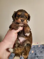 processed/9c1e9092-9436-4978-8adf-d2fe056367ff/listing/651b9d16-168e-4fbe-af69-81966aa8b7f3/7c90a7b0-8e69-4b60-bc35-faf0ff710de9