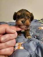 processed/9c1e9092-9436-4978-8adf-d2fe056367ff/listing/651b9d16-168e-4fbe-af69-81966aa8b7f3/8f5169e7-ffbd-447a-8b77-1f240aa11fbd