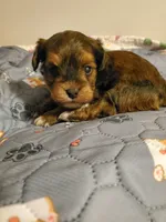 processed/9c1e9092-9436-4978-8adf-d2fe056367ff/listing/651b9d16-168e-4fbe-af69-81966aa8b7f3/c27b7548-0a49-4054-baf8-3b4a6e09a09b