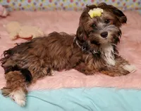 processed/9c1e9092-9436-4978-8adf-d2fe056367ff/listing/651b9d16-168e-4fbe-af69-81966aa8b7f3/d9a22408-1058-416d-954f-73874e950ba1