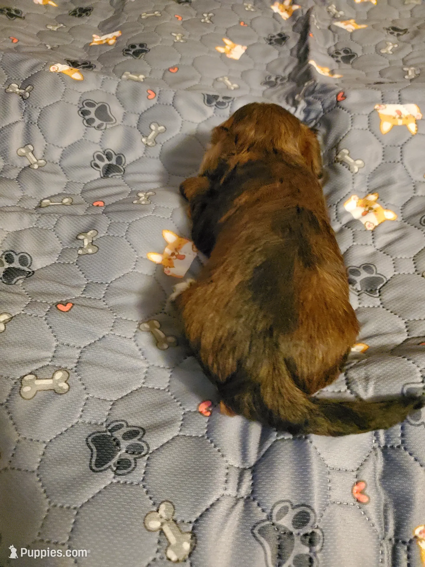 processed/9c1e9092-9436-4978-8adf-d2fe056367ff/listing/651b9d16-168e-4fbe-af69-81966aa8b7f3/fc1bb8b9-b401-4591-bead-622caab55995