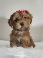 processed/9c1e9092-9436-4978-8adf-d2fe056367ff/listing/89fad104-86ce-4d4b-98d8-14e6592effa5/3116f28f-a2a4-408b-a83b-c5ff6189a035