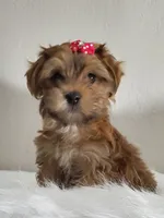 processed/9c1e9092-9436-4978-8adf-d2fe056367ff/listing/89fad104-86ce-4d4b-98d8-14e6592effa5/3e29887c-4da9-4a6b-af77-c90e84991080