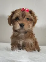 processed/9c1e9092-9436-4978-8adf-d2fe056367ff/listing/89fad104-86ce-4d4b-98d8-14e6592effa5/3ef6efcf-dc1b-42bc-865c-60b795d0966d