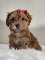 processed/9c1e9092-9436-4978-8adf-d2fe056367ff/listing/89fad104-86ce-4d4b-98d8-14e6592effa5/5a92b0c1-544c-4a70-a163-6ed280f8a8a9