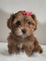 processed/9c1e9092-9436-4978-8adf-d2fe056367ff/listing/89fad104-86ce-4d4b-98d8-14e6592effa5/d22aa60c-eb59-4c06-8b08-c07134bd7295