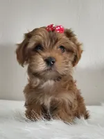 processed/9c1e9092-9436-4978-8adf-d2fe056367ff/listing/89fad104-86ce-4d4b-98d8-14e6592effa5/d4505124-7255-45de-b1a9-bf6fea25eef3