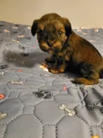 processed/9c1e9092-9436-4978-8adf-d2fe056367ff/listing/c97b94d1-2650-428c-8942-162cd1e8d0bb/3010c38c-3ebf-4677-af73-1458cc0bac3d