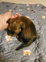 processed/9c1e9092-9436-4978-8adf-d2fe056367ff/listing/c97b94d1-2650-428c-8942-162cd1e8d0bb/3878b8f7-c614-471f-93cb-b20d0ce925eb